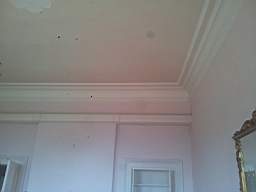fkillineybeforeinternal 1895.jpg